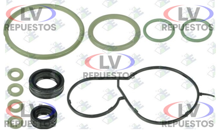 REPARO CANECA REDUCIDA CAJA GR895/905 OPTICRUISE EURORICAMBI